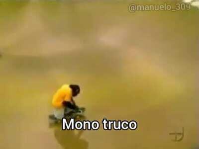 MONO TRUCO