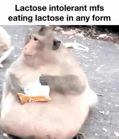 Why do they do it to themselves