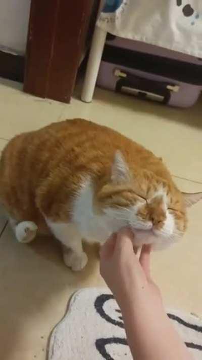 Oh yeah, that's the spot.