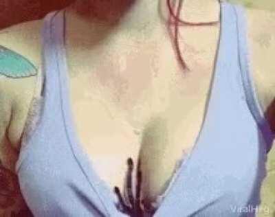 If this is a repost I'll delete it