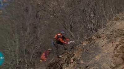 In Russia, tree breaks chainsaw