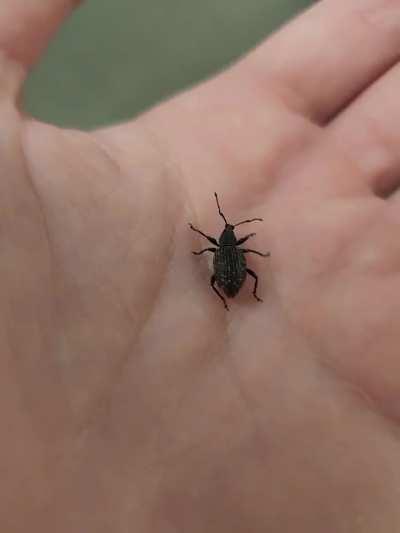 He came into my house without asking. What should I do in this situation?