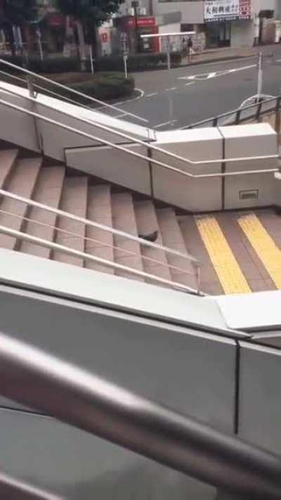 It knows it can fly, right?