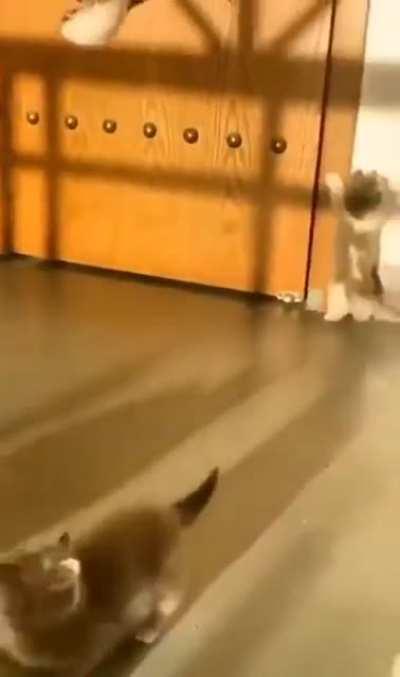 а если нет разницы, зачем толкаться?