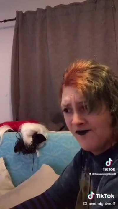 This is the reason why I don't leave my Sims on Free Will