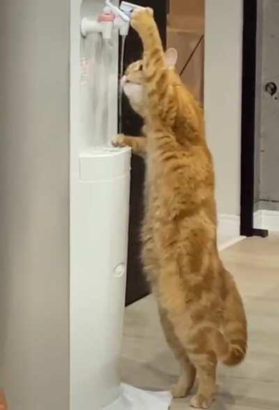 Человеки не нужны