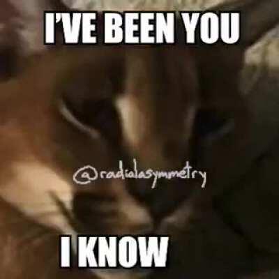 I fucking miss floppa Friday already