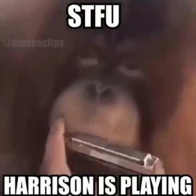 No one talks when harrison is playing the harmonica