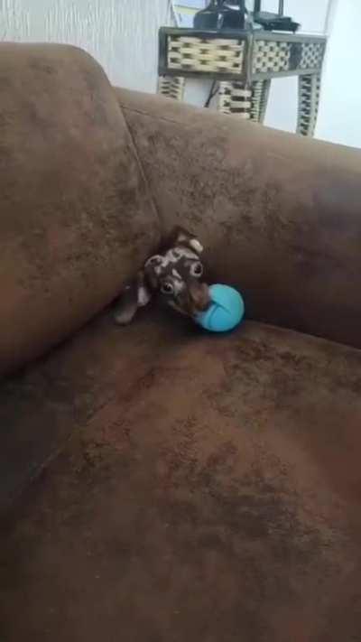 Ele voltando para as backrooms no final