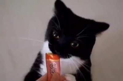 Tick tock heavy like a brings truck 