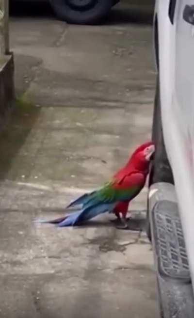 Someone’s been deflating tires in the neighborhood