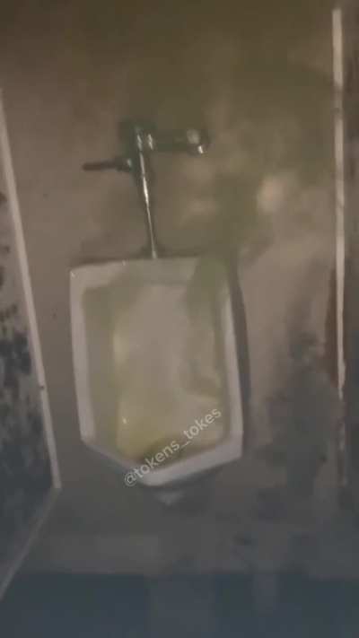 Perfect moment for the boys