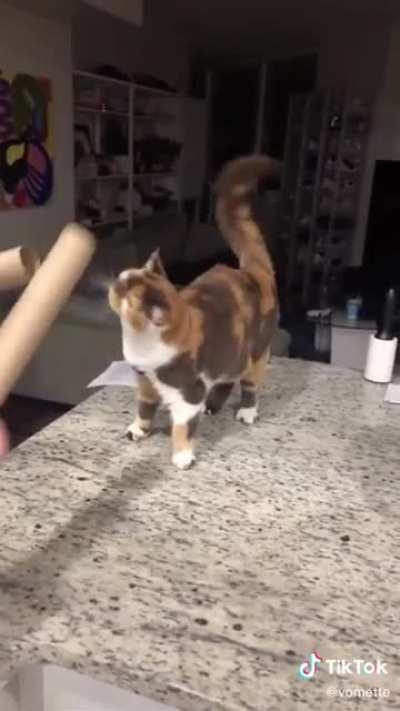 She sings if you use the bongo sticks