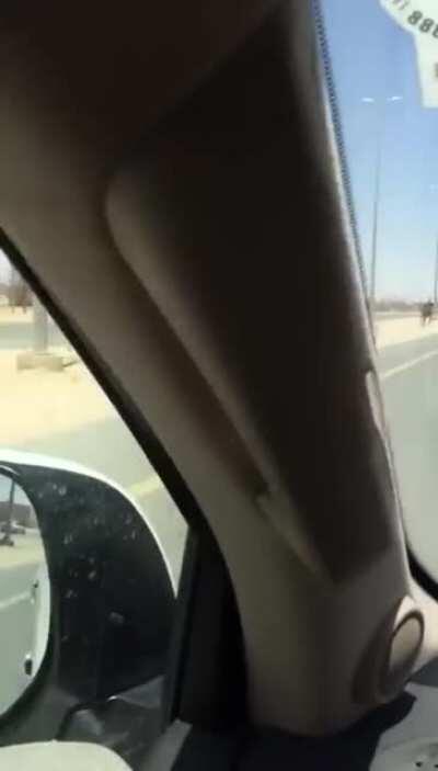 What the hump? This is one of the things I least expect to find on the road