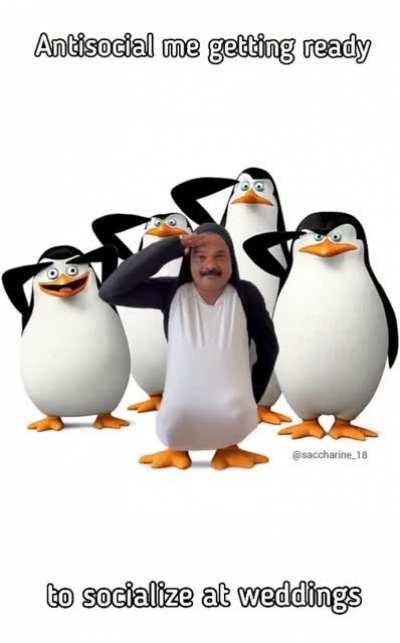 winter exist shadiya 💹