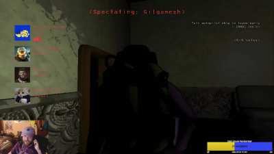 wavedash counters dogs