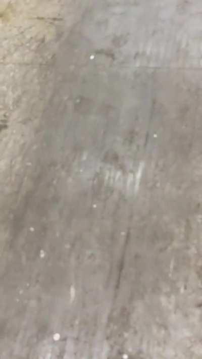 Thought I might join the fun