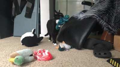 Harpo's generosity knows no bounds.