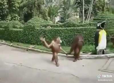 Oo oo oo monke oo oo ahah love aa aa