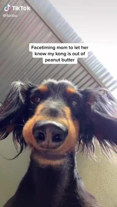 peanut butter kong >>>>