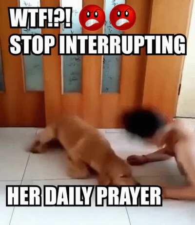 Crossposting for u/savevideo