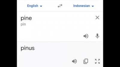 🇮🇩🇮🇩🇮🇩🇮🇩🇮🇩