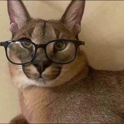 this big floppa meme