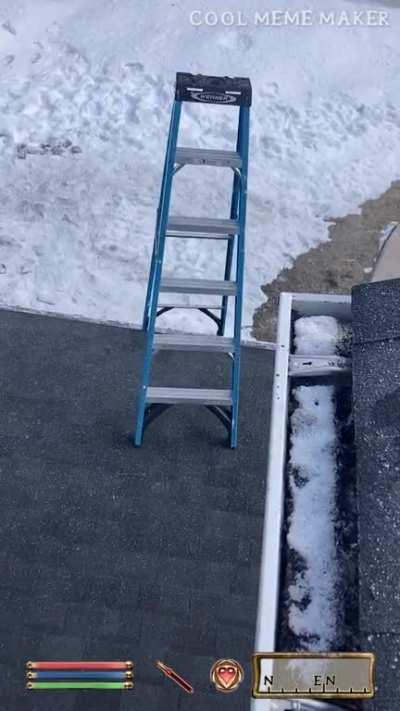 Oblivion NPC ladder goes and falls from the roof