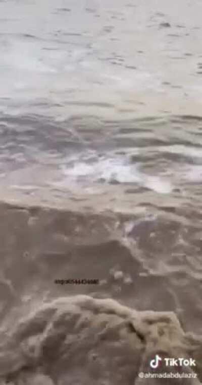 to capture a nice shot