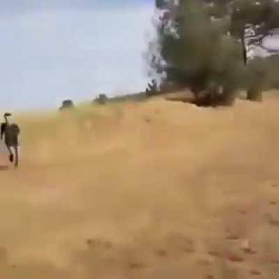 Que habrá pasado después????