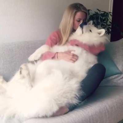 need to hug fluff!When a fluffy could decides to be a doggo