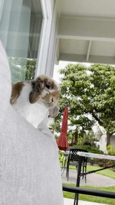 Sweetpea in deep thought. She has a lot on her mind