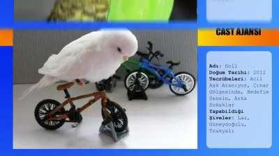 arayın hemen gelelim!