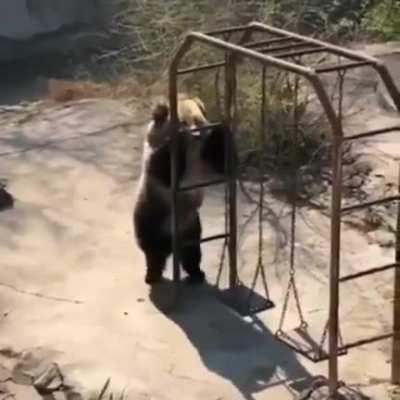 Dance like nobody's watching