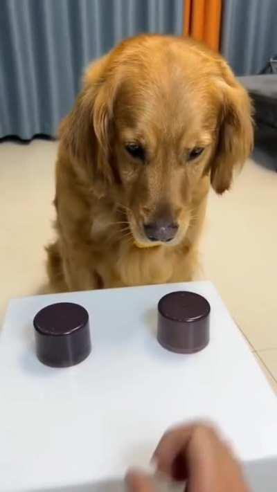 hmmm, just a moment...