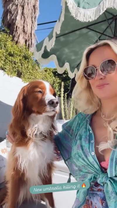 Anna's Instastory December 2 2025