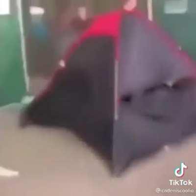 Gen Z humor be like: