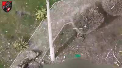 NSFW: Russian assault squad taken out near village Shevchenko. Ukrainian 155th Mechanized Brigade, Pokrovsk direction, March 2025 [graphic content]