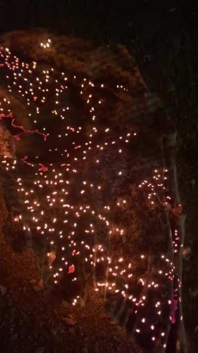 This burning piece of cardboard looks like a huge crowd carrying torches