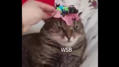 I read a post about MT this morning. Bought a shit ton of $22.5c 12/18 - $23c 2/19/21 - $25c 1/21/2022 get in now boys. MOON MISSION