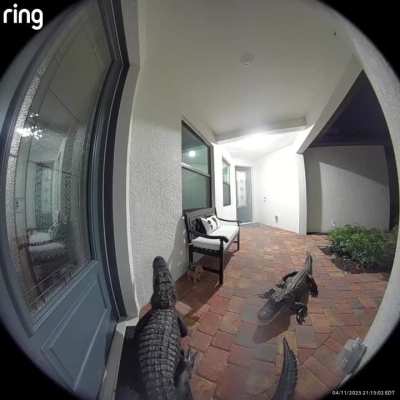 Had a few visitors this morning