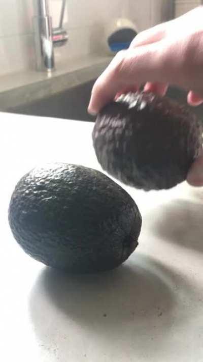 Forbidden avocado