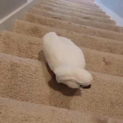 The party don't start until I walk in