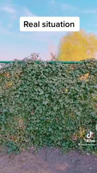 Self defense expectations versus reality