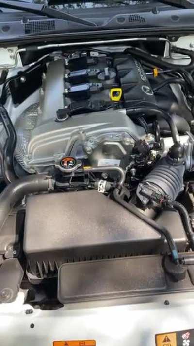 Is this noise for a 2019 ND2 normal?