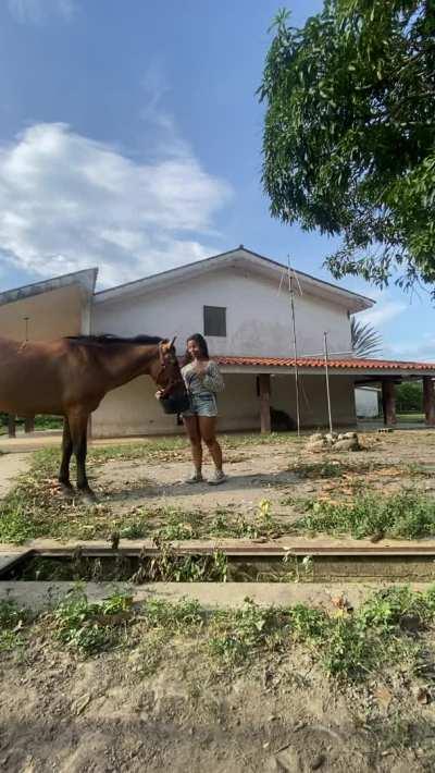 flashing my tits on the farm