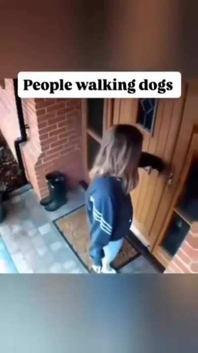 People walking dogs