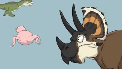 The war here, as I see it