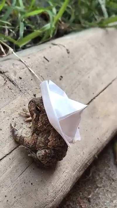 Gave this handsome boy a hat