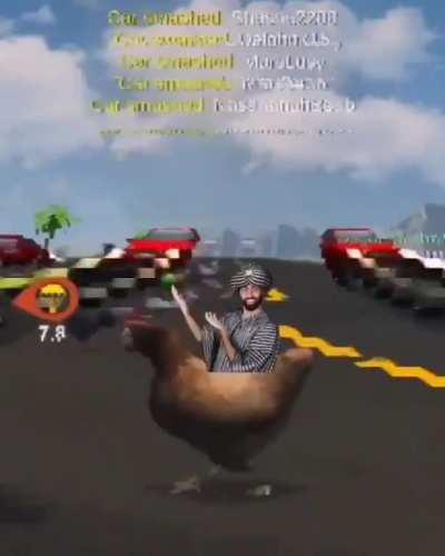 🐓 race